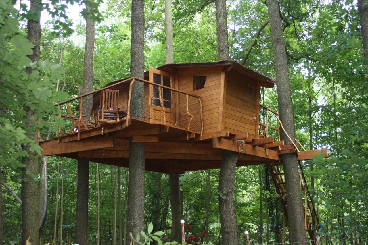 הוילה Bohutín Treehouse V Brdech מראה חיצוני תמונה