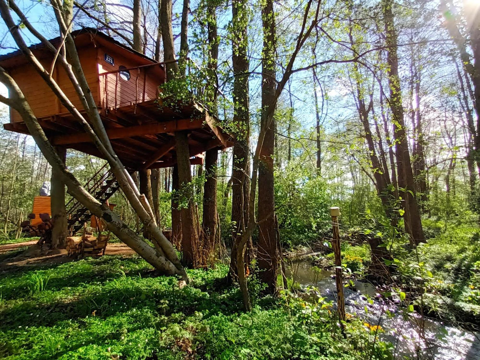 הוילה Bohutín Treehouse V Brdech מראה חיצוני תמונה